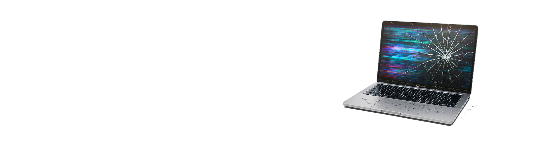 Banner 1