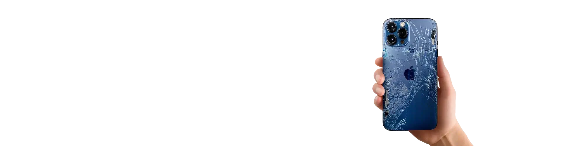 Banner 2